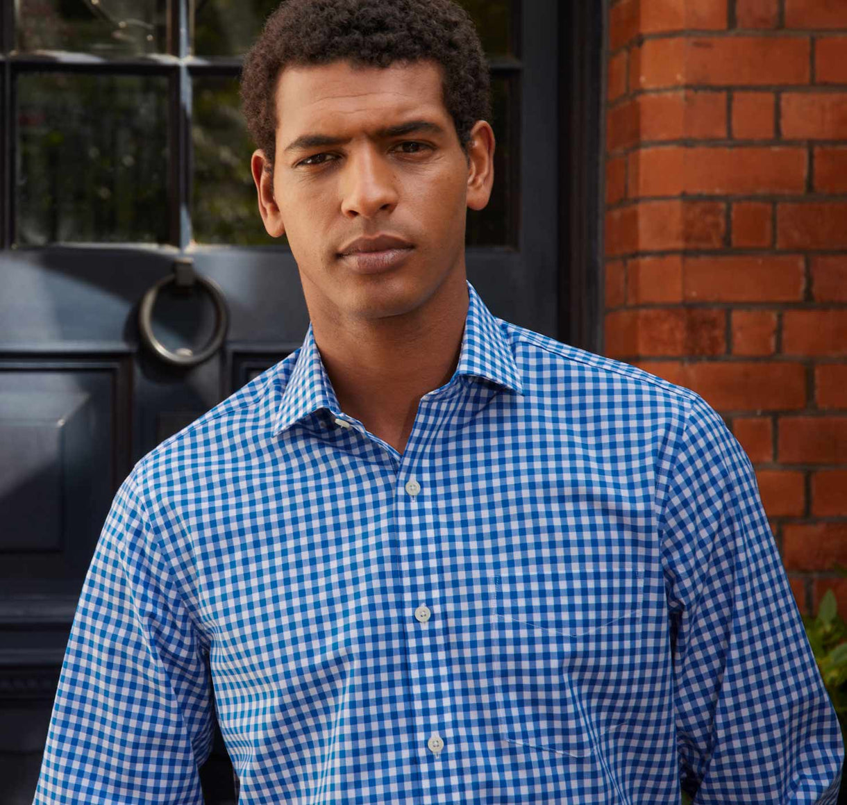 Men's blue check shirt image