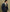 Mens tailored suit