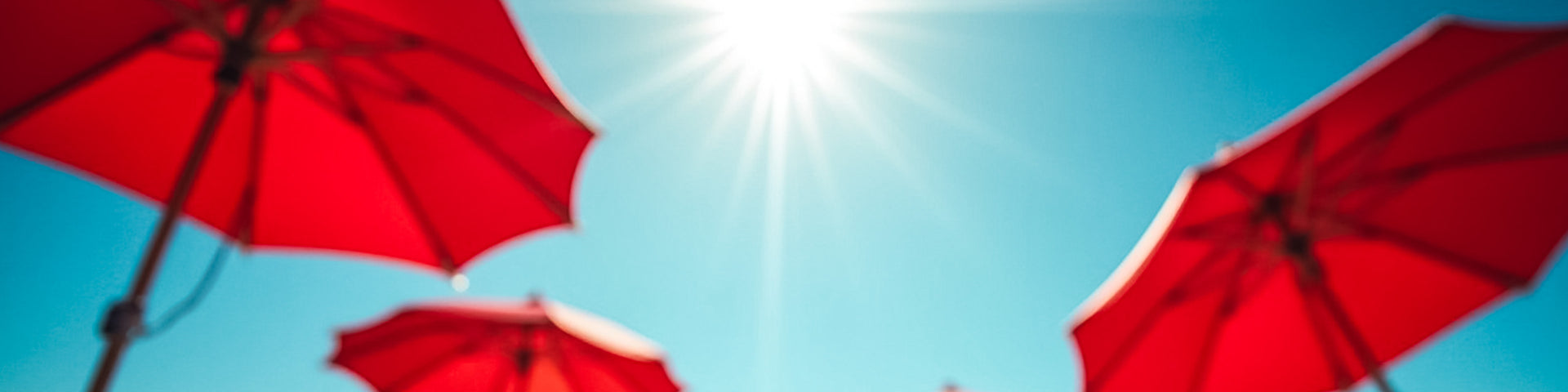 Summer Sale | Up to 50% off