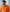 Men's Orange Cotton Pique Short Sleeve Polo Shirt model shot 2