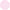 pink cotton classic fit non iron shirt single cuff 2038pnk No Tie swatches