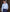 Sky Blue Herringbone Cotton Slim Fit Formal Shirt - Single Cuff