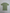 Women's Green Cotton Mix Stretch T-Shirt [RTC]