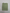 Women's Green Cotton Mix Stretch T-Shirt [RTC]