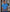 Men's Blue Cotton Pique Short Sleeve Polo Shirt model shot