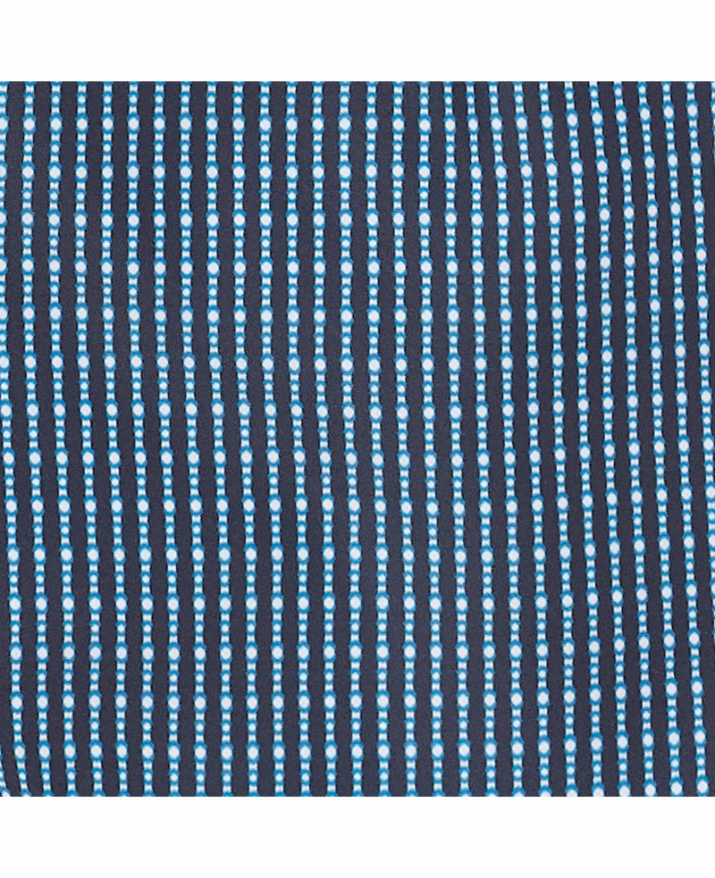 Blue Dotted Stripe Recycled Swim Shorts