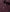 Men's Burgundy Cotton Pique Long Sleeve Polo Shirt collar detail