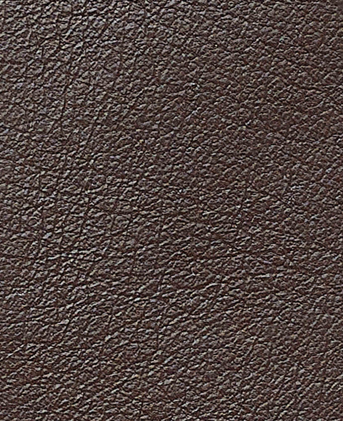 Chocolate Brown Leather Cardholder