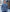 Denim Blue Merino Wool Cashmere Crew Neck Jumper