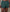 Green Cotton Paisley Boxer Shorts