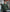 Green Merino Wool Cashmere Crew Neck Jumper