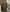 Khaki Cotton Piped Pyjamas