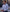 Navy Cotton Poplin Gingham Check Slim Fit Formal Shirt - Single Cuff