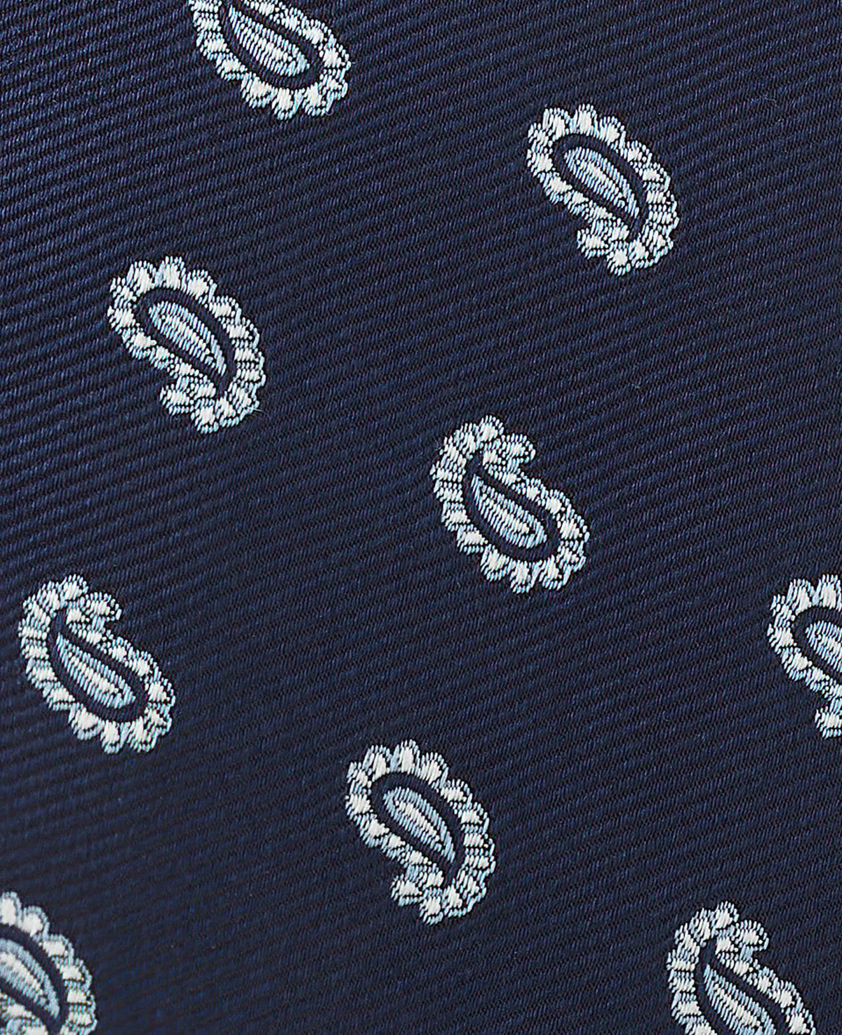 Navy White Paisley Silk Tie