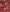 Men's Red Floral Print Silk Pocket Square fabric detail