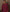 Red Multi Brushed Cotton Twill Window Check Pyjamas
