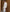 White Cotton Waffle Dressing Gown