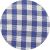Blue Gingham Check Classic Fit Button-Down Shirt