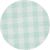 Mint Green Gingham Check Classic Fit Button-Down Shirt