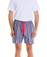 Blue Multi Stripe Cotton Lounge Shorts - Model Shot - MLS1062MLT