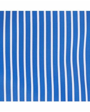 Blue White Reverse Stripe Recycled Swim Shorts